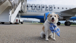 tiere%20an%20bord%20people%27s%20airline