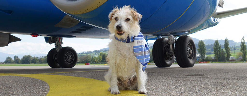 tiere%20im%20flugzeug%20people%27s%20airline